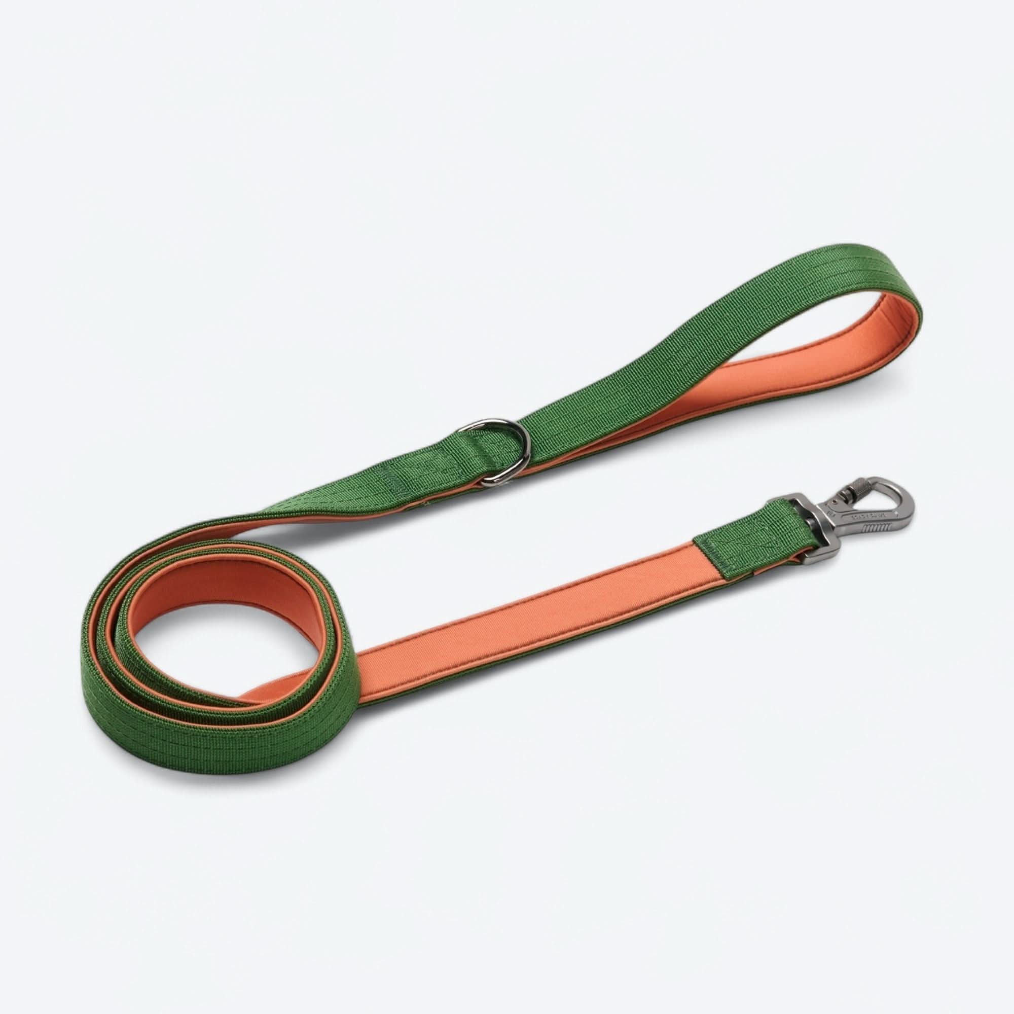 Comfort Control Dog Collar Sets - Image 75