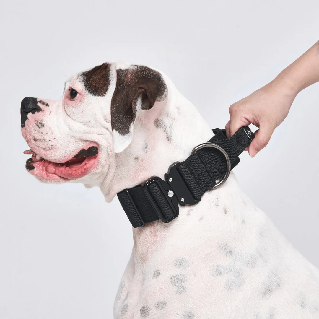 Comfort Control Dog Collars - Image 39