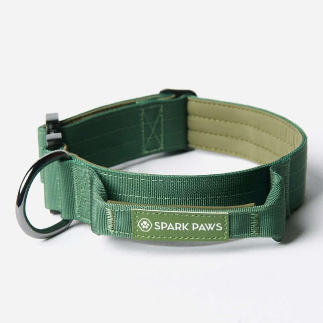 Comfort Control Dog Collars - Image 50