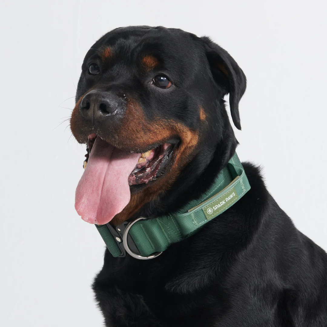 Comfort Control Dog Collars - Image 55