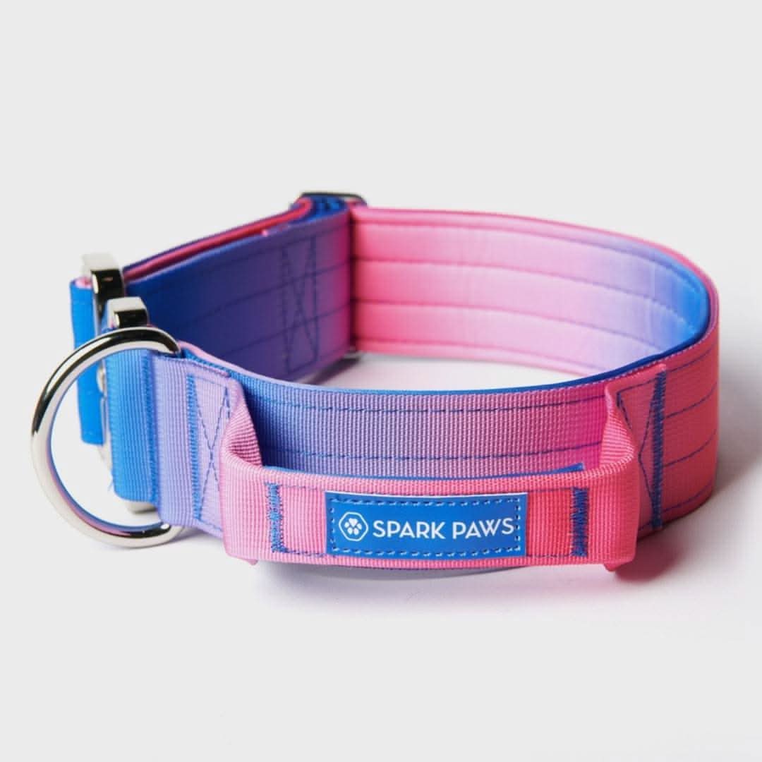 Comfort Control Dog Collars - Image 57