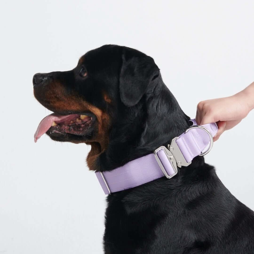 Comfort Control Dog Collars - Image 73