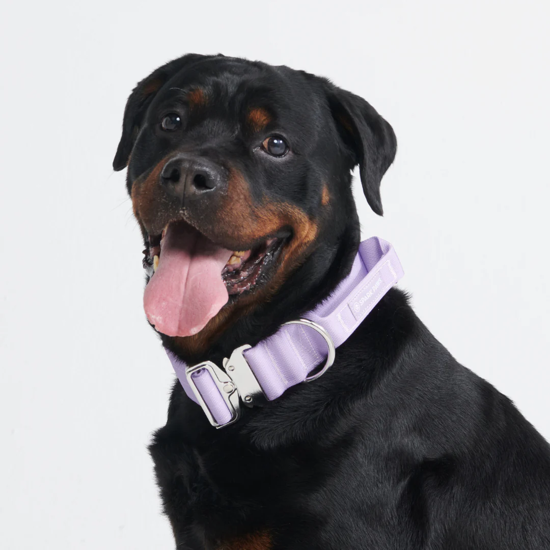 Comfort Control Dog Collars - Image 74