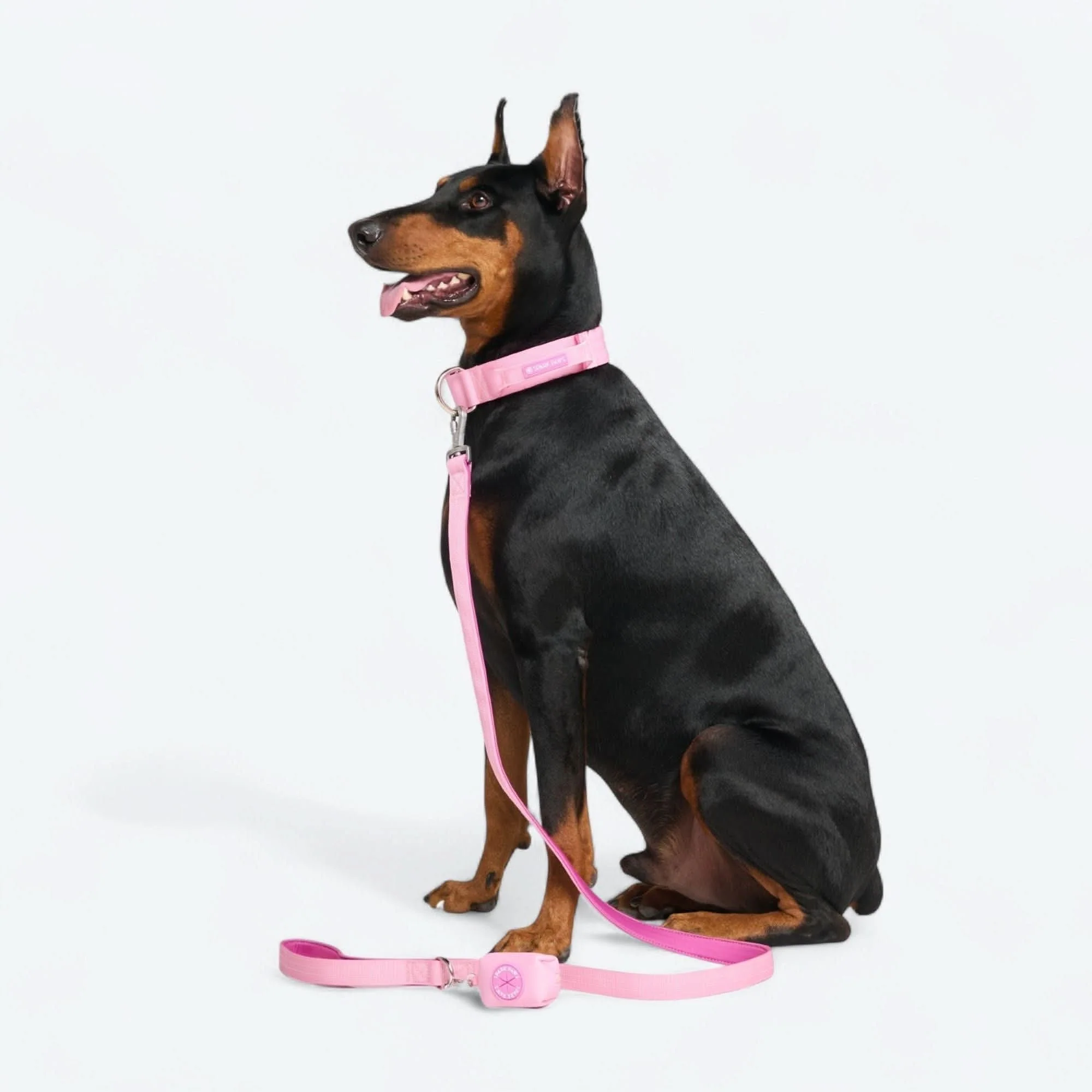 Comfort Control Dog Collars - Image 96