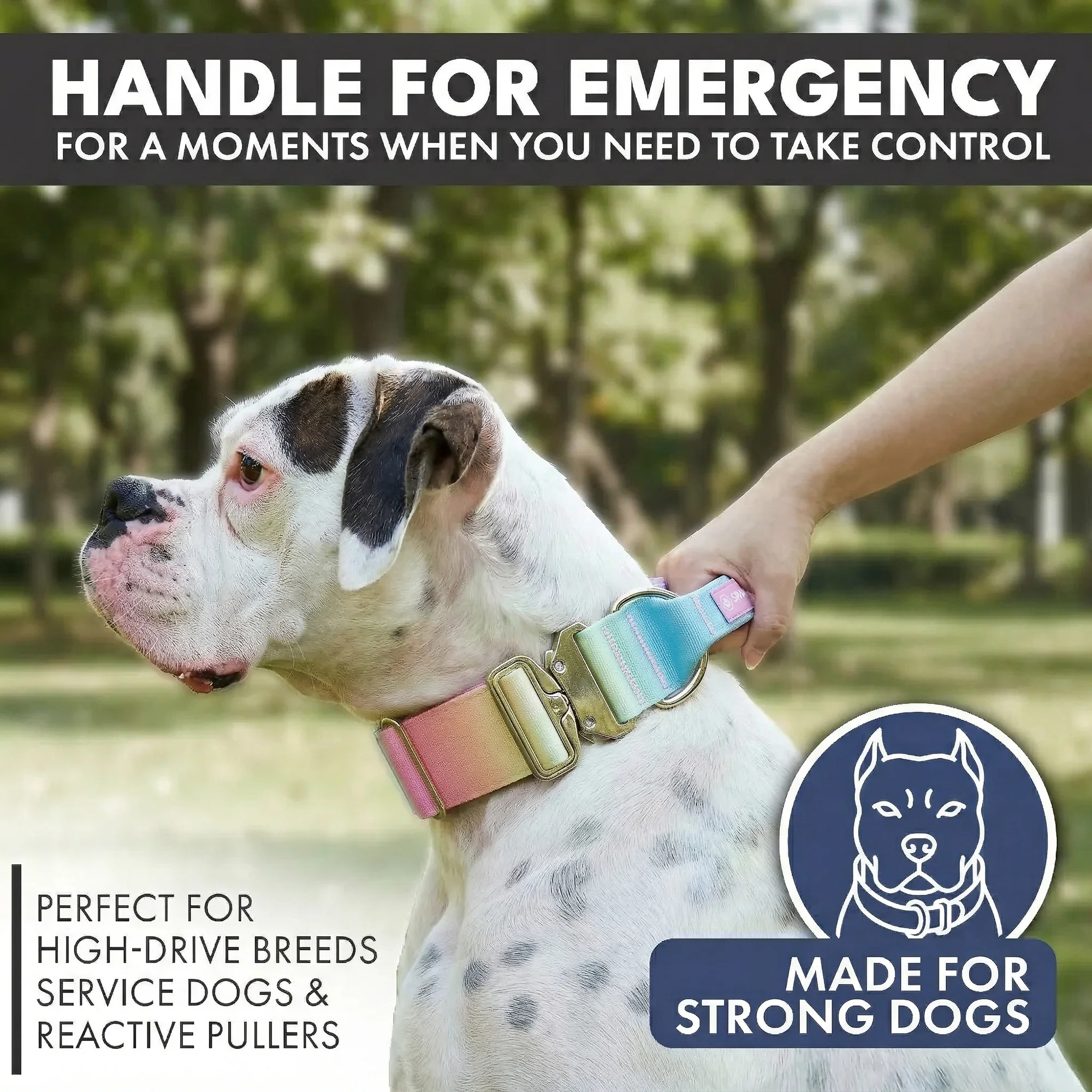 Comfort Control Collar - Pastel Icing - Image 3