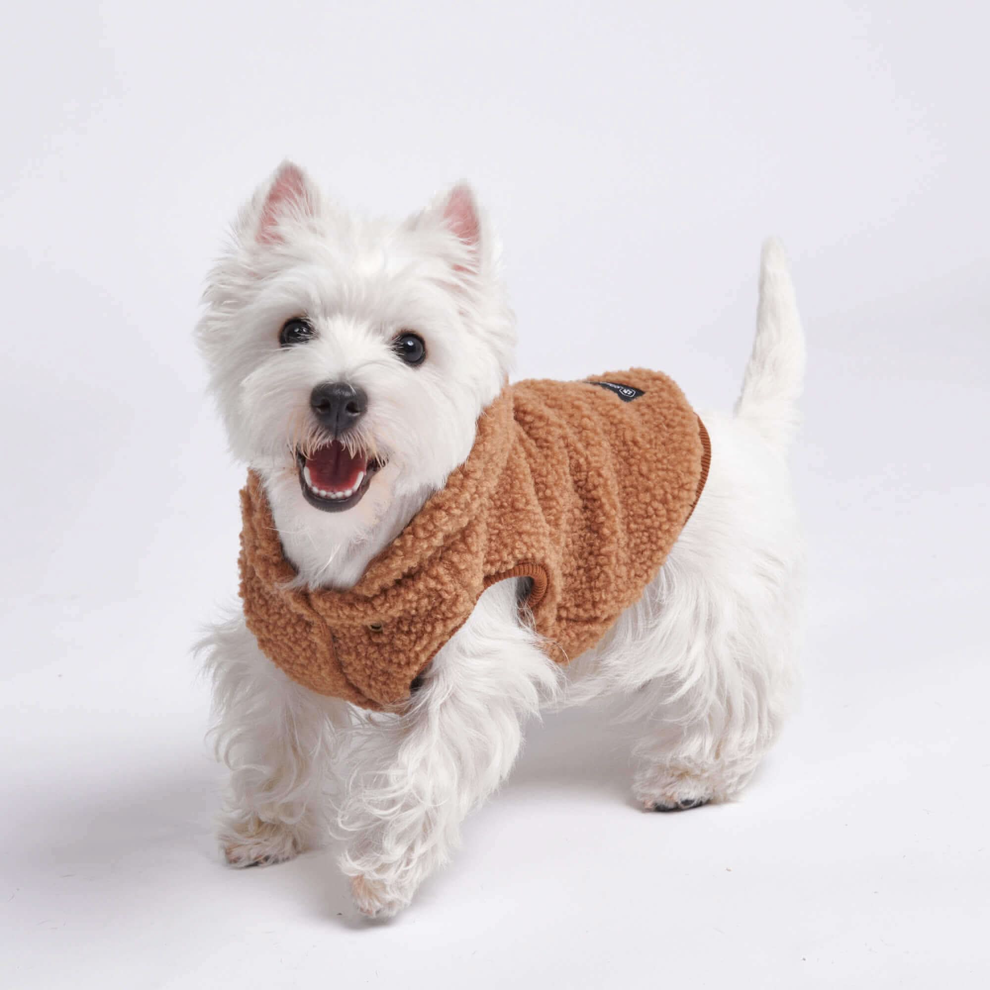 Teddy Sherpa Dog Jackets - Image 16