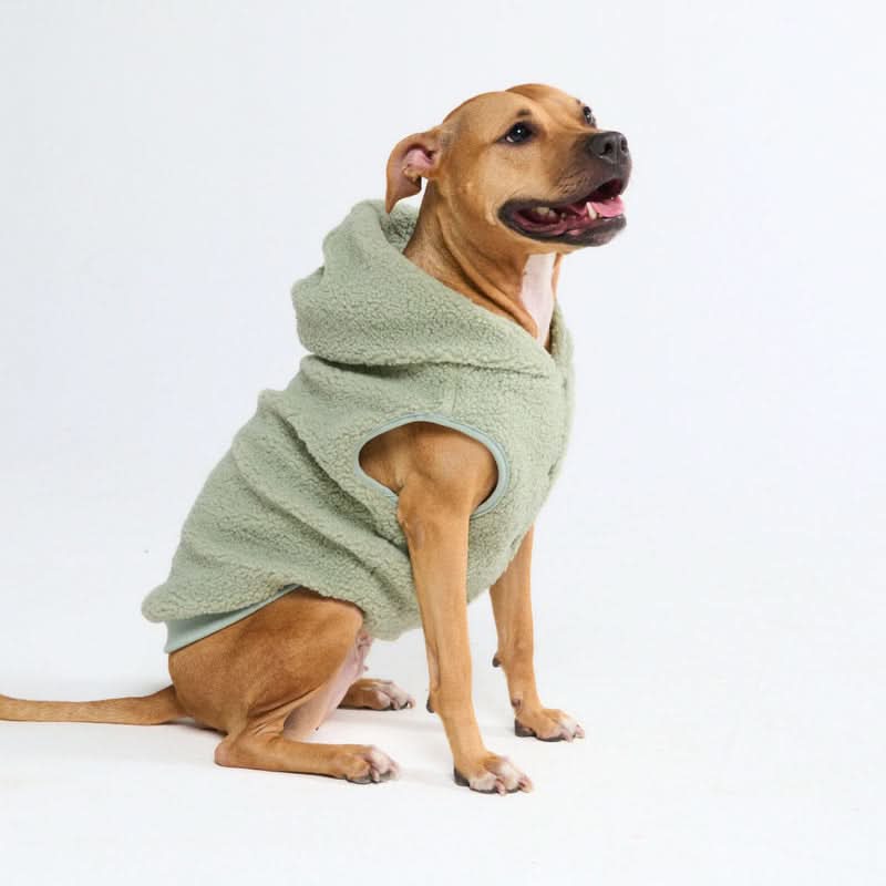 Teddy Sherpa Dog Jackets - Image 24