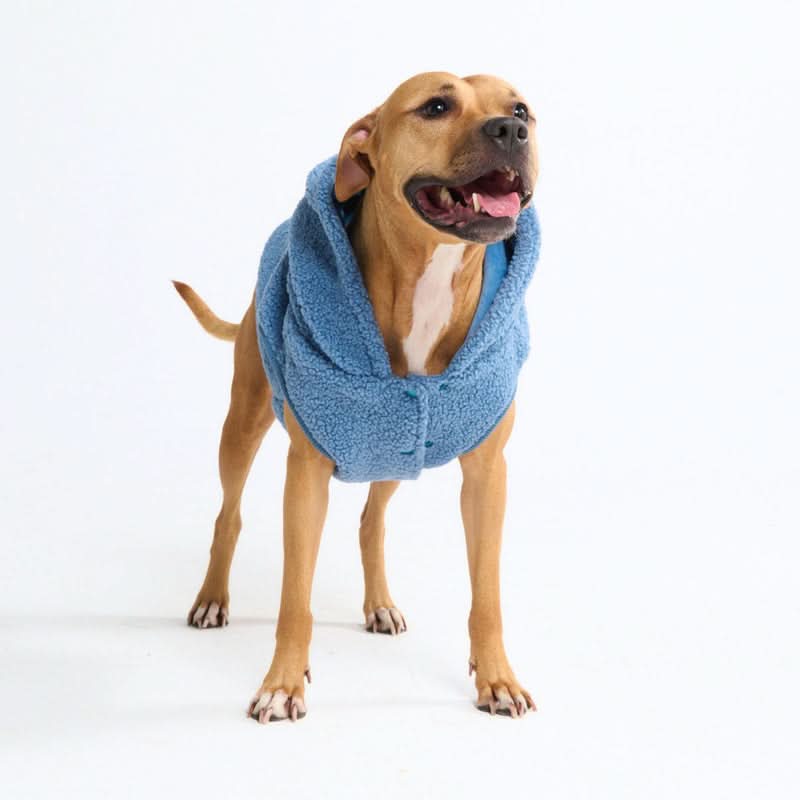 Teddy Sherpa Dog Jackets - Image 44