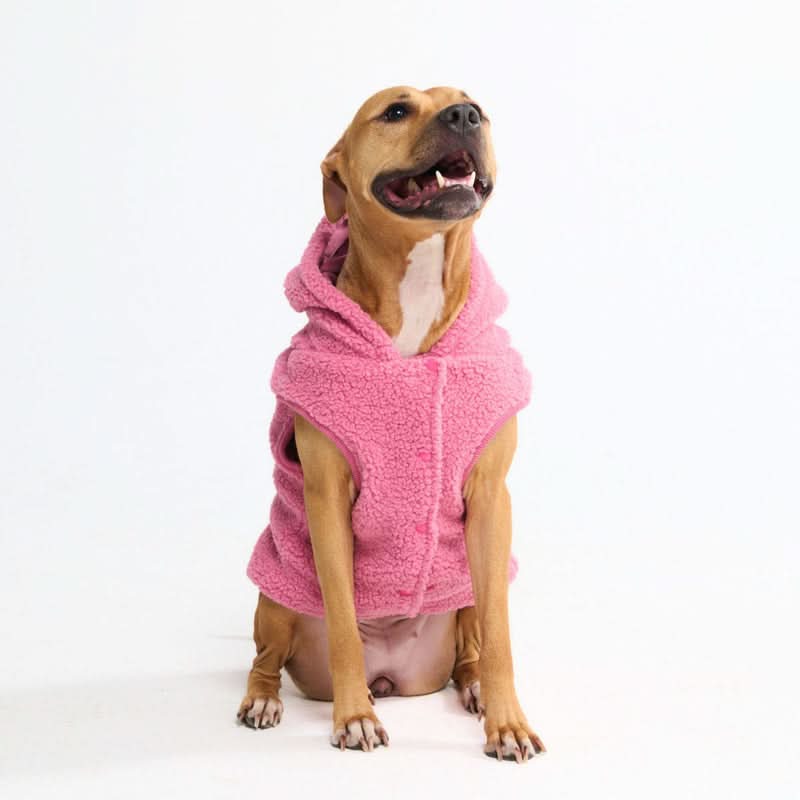 Teddy Sherpa Dog Jackets - Image 5