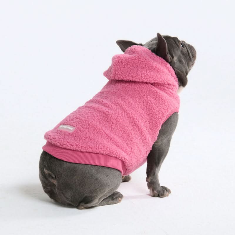 Teddy Sherpa Dog Jackets - Image 8