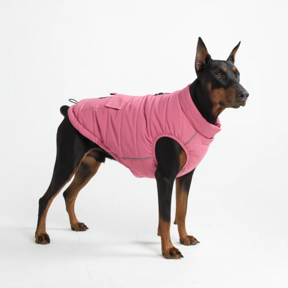 WarmShield Water-Resistant Jacket - Dusty Pink - Image 4