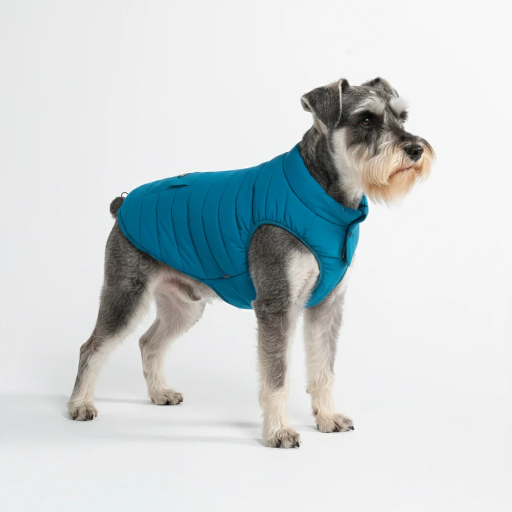 WarmShield Water-Resistant Jacket - Teal - Image 2