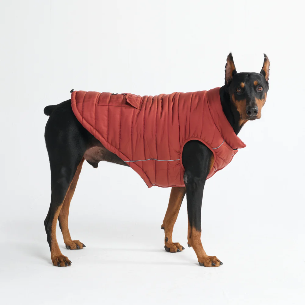 WarmShield Water-Resistant Jacket - Crimson - Image 4
