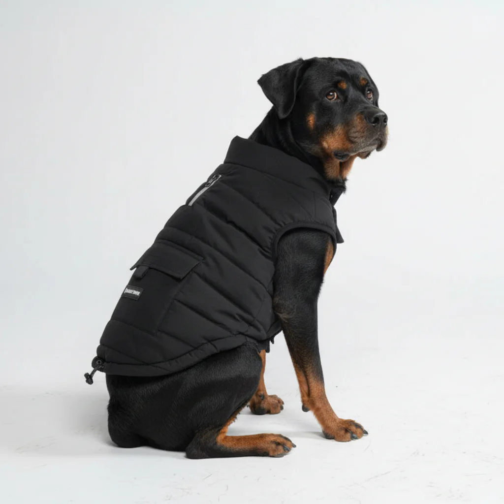 WarmShield Water-Resistant Jacket - Black - Image 2