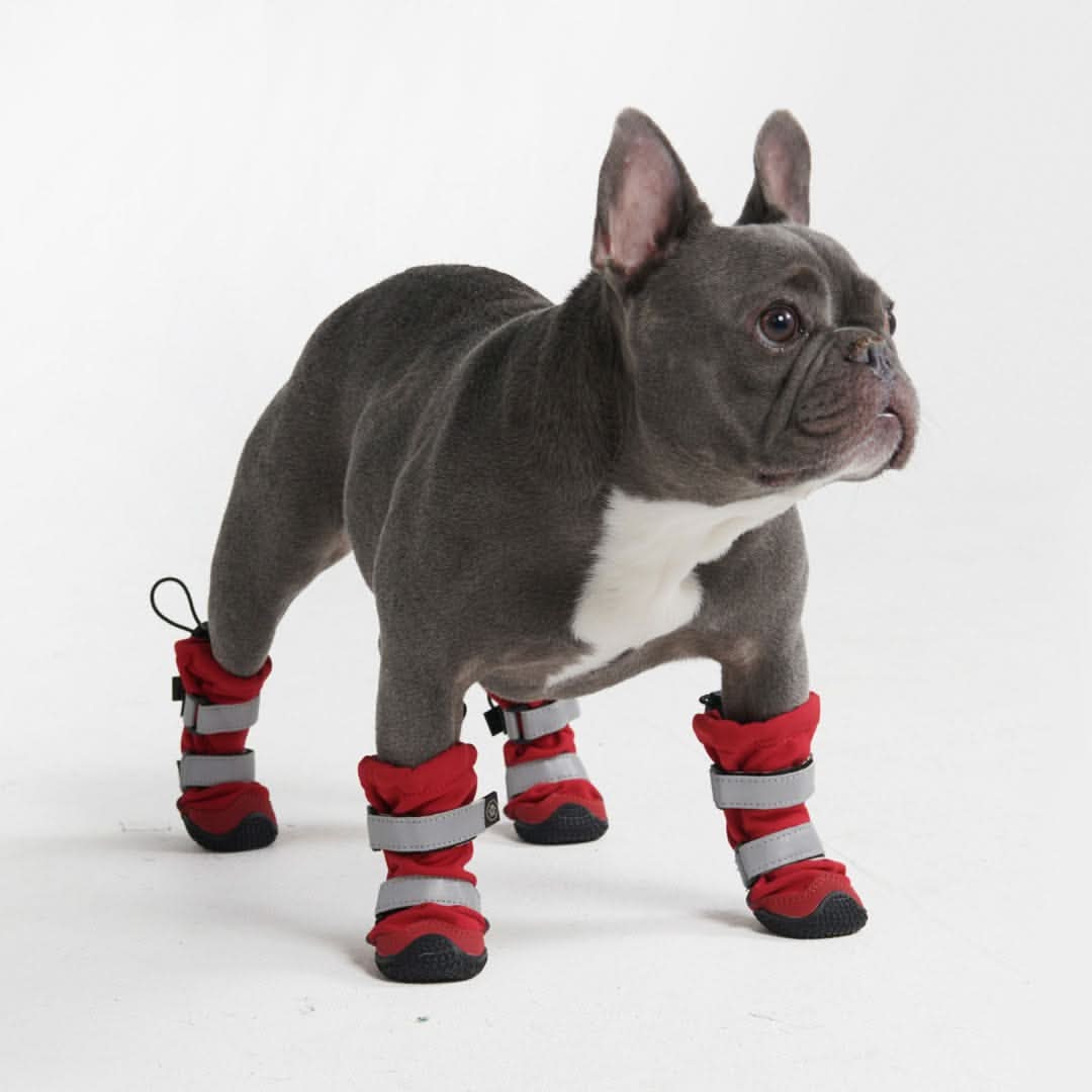 Dog Rainboots, Waterproof Dog Shoes - Image 14
