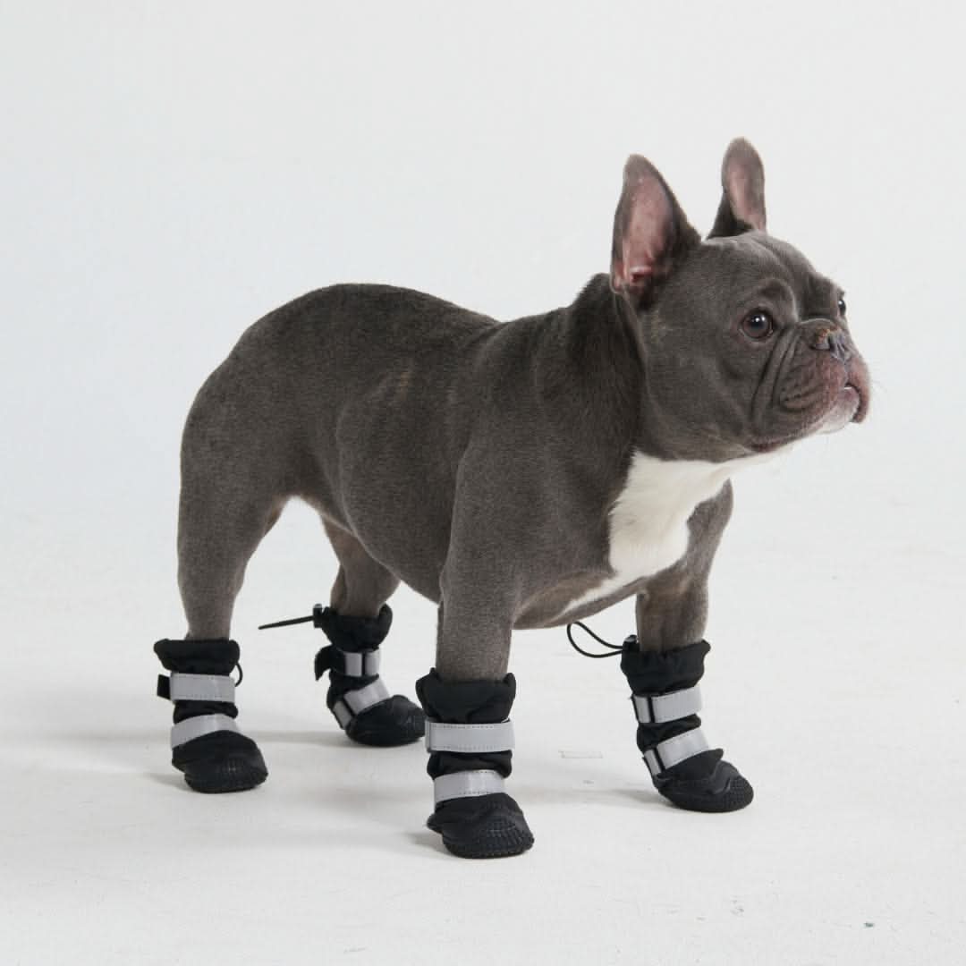 Dog Rainboots, Waterproof Dog Shoes - Image 2