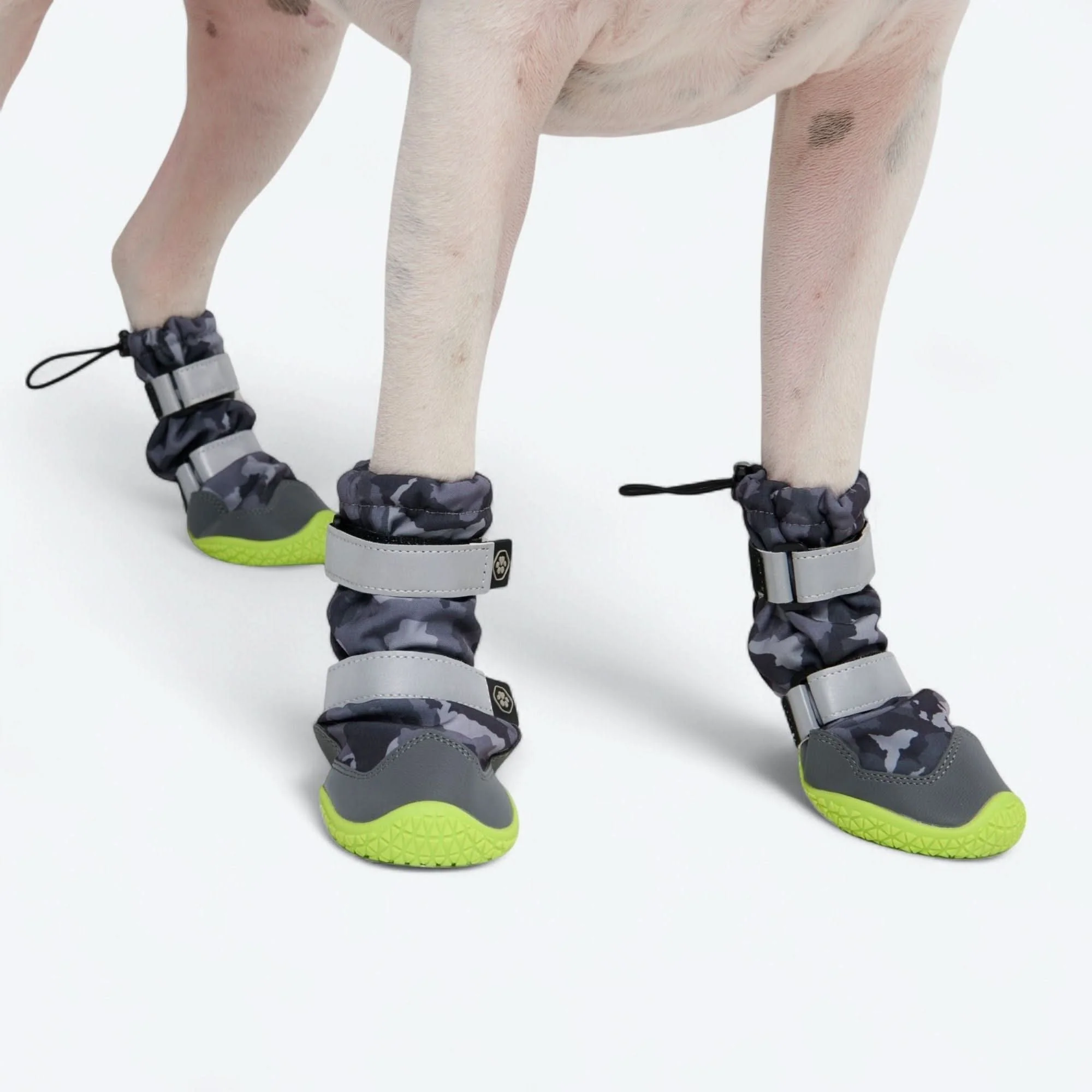 Dog Rainboots, Waterproof Dog Shoes - Image 37