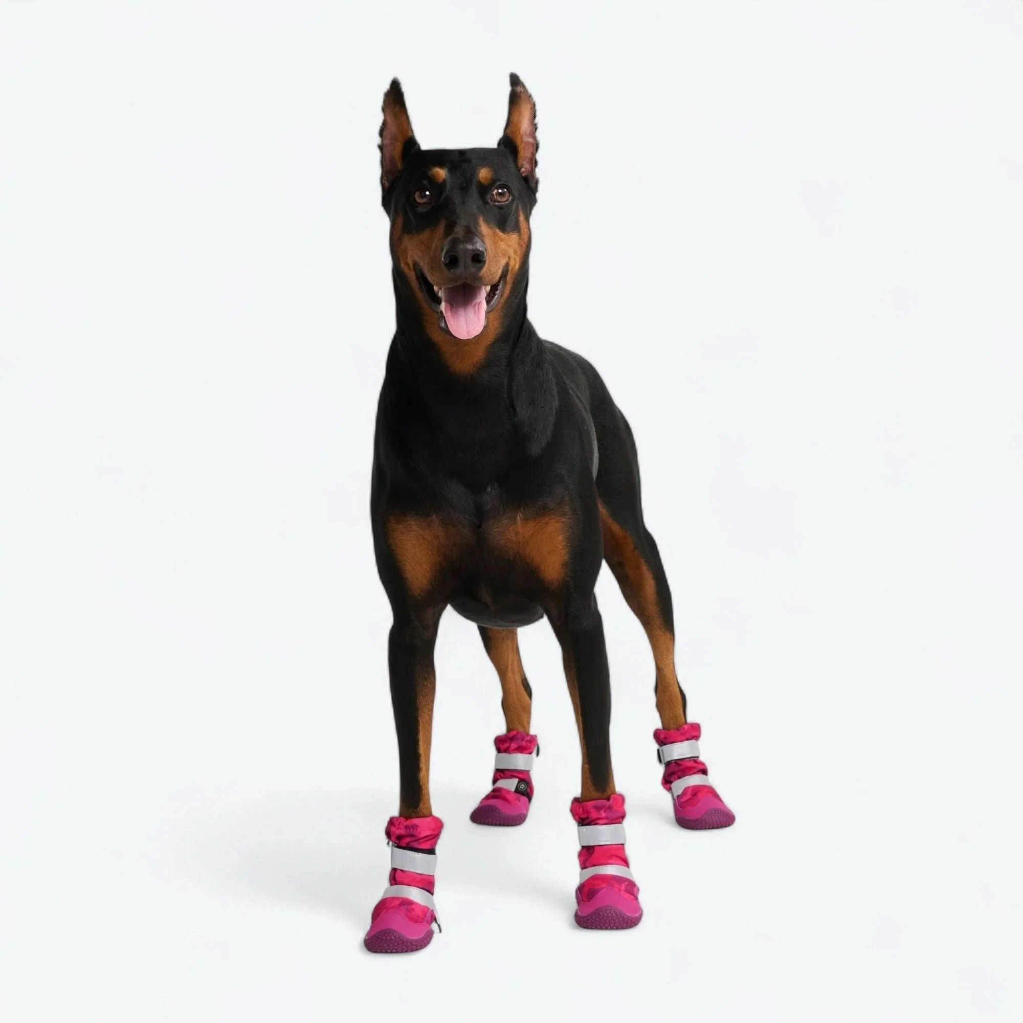 Dog Rainboots, Waterproof Dog Shoes - Image 44