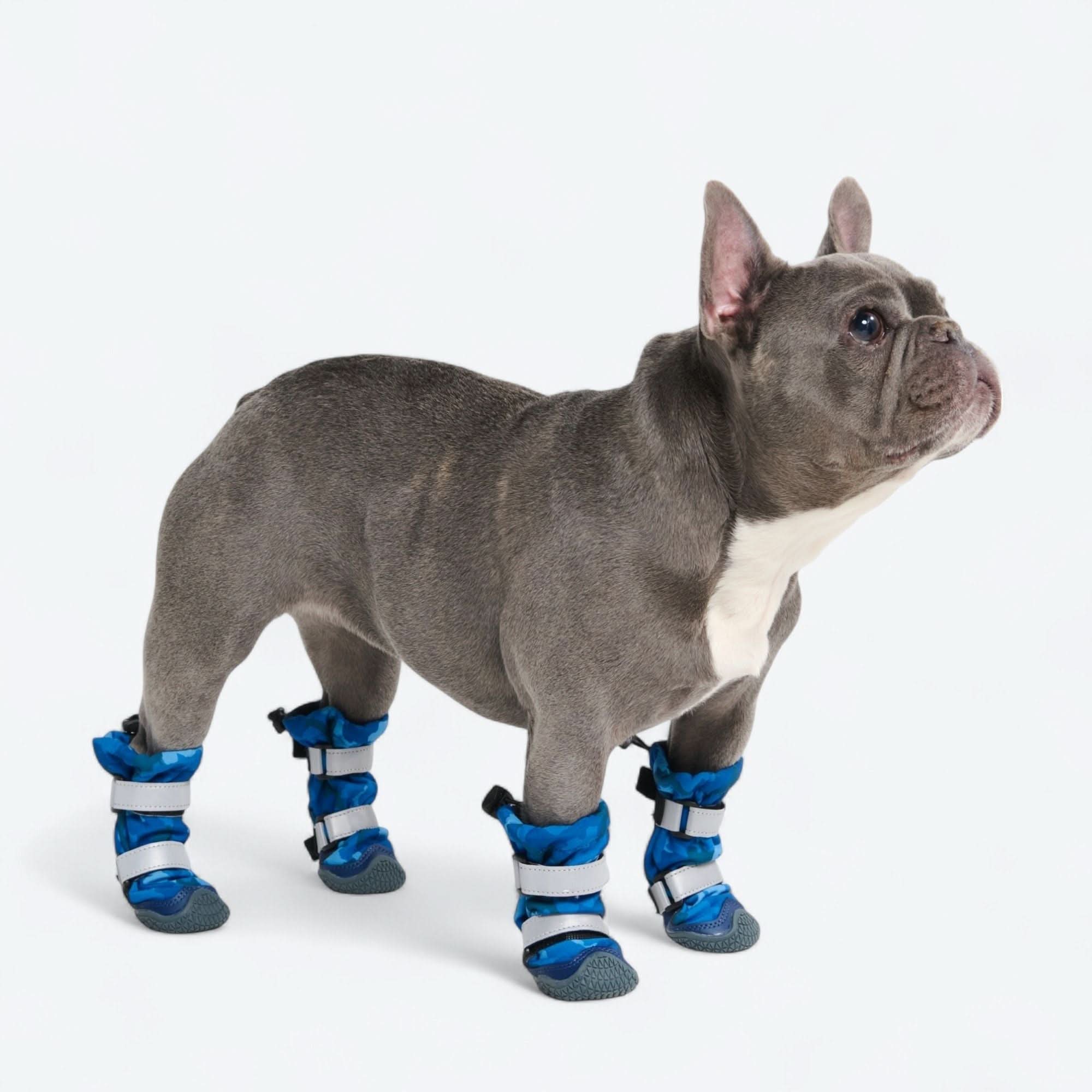 Dog Rainboots, Waterproof Dog Shoes - Blue Camo - Image 6