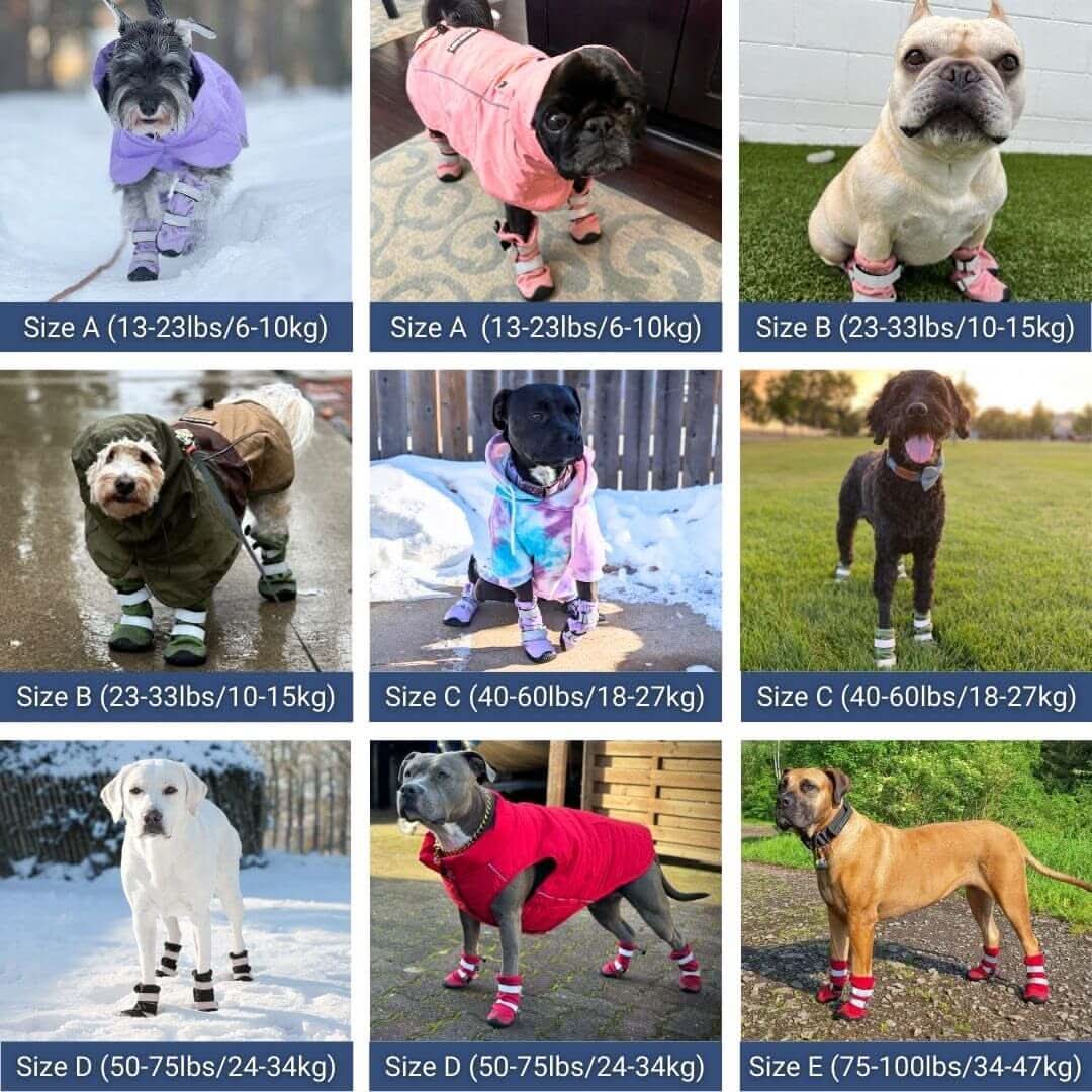 Dog Rainboots, Waterproof Dog Shoes - Image 35