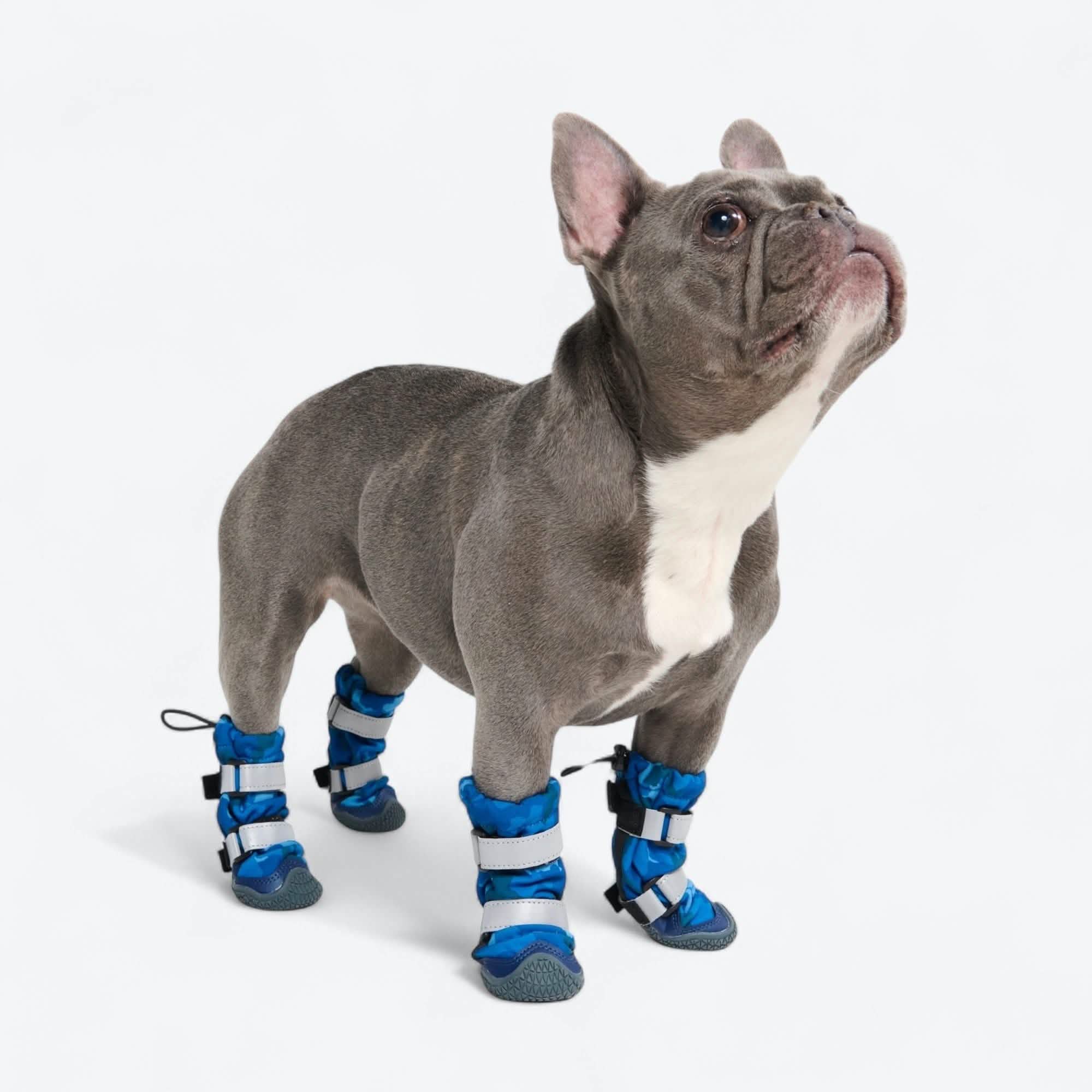 Dog Rainboots, Waterproof Dog Shoes - Image 52
