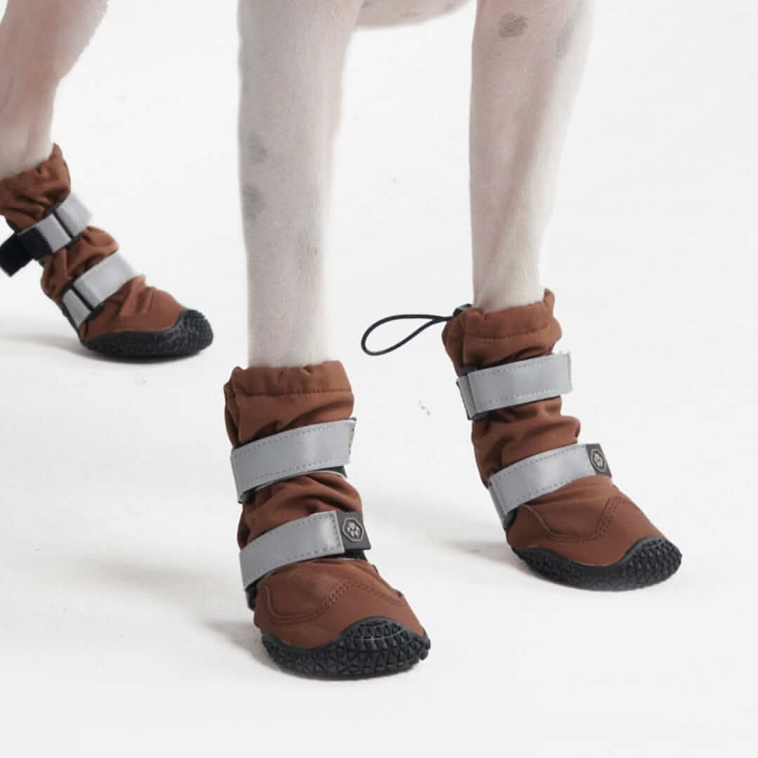 Dog Rainboots, Waterproof Dog Shoes - Image 65