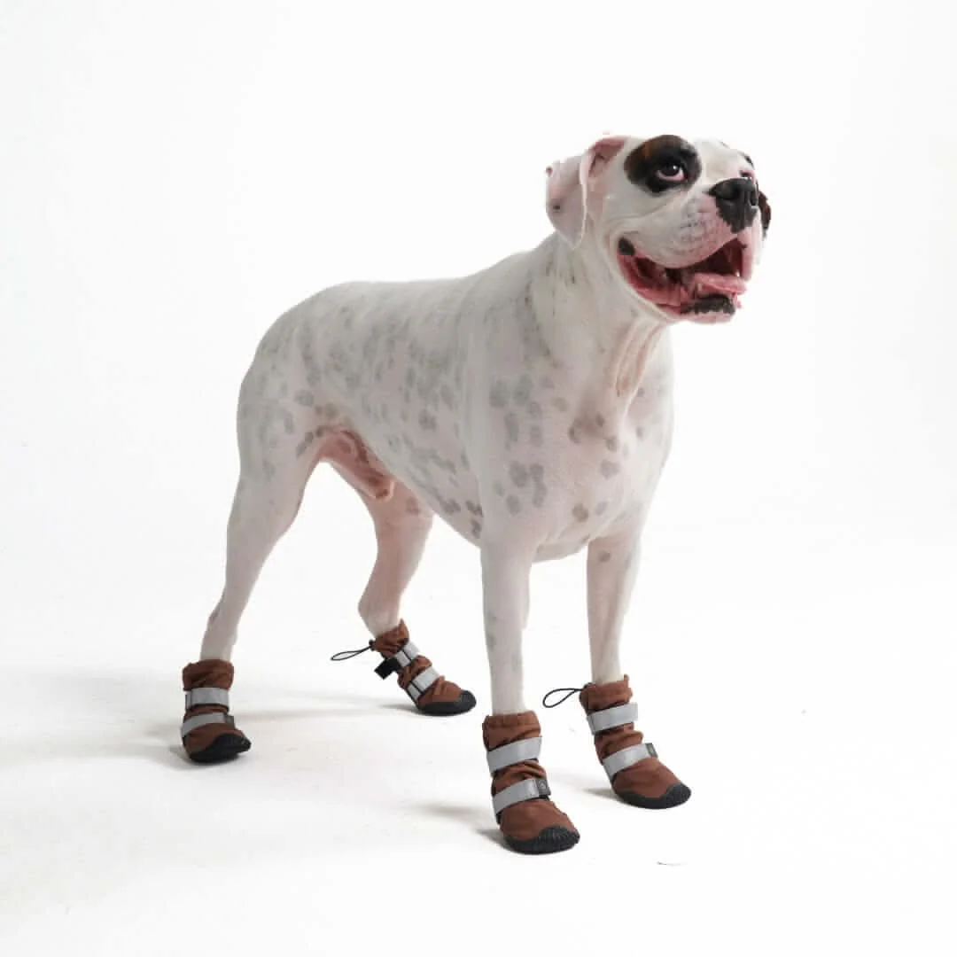 Dog Rainboots, Waterproof Dog Shoes - Image 70