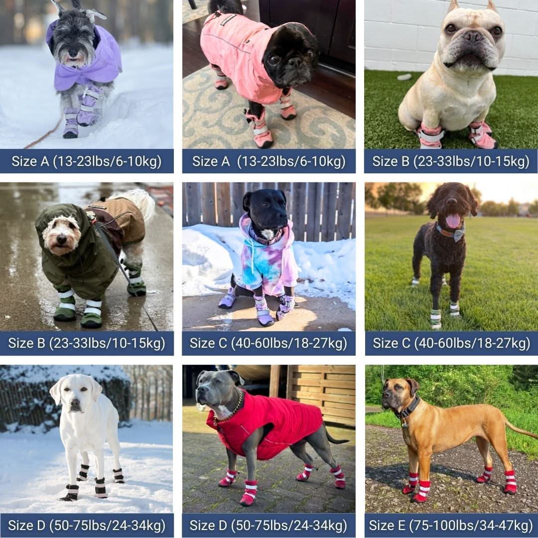 Dog Rainboots, Waterproof Dog Shoes - Lilac - Image 5