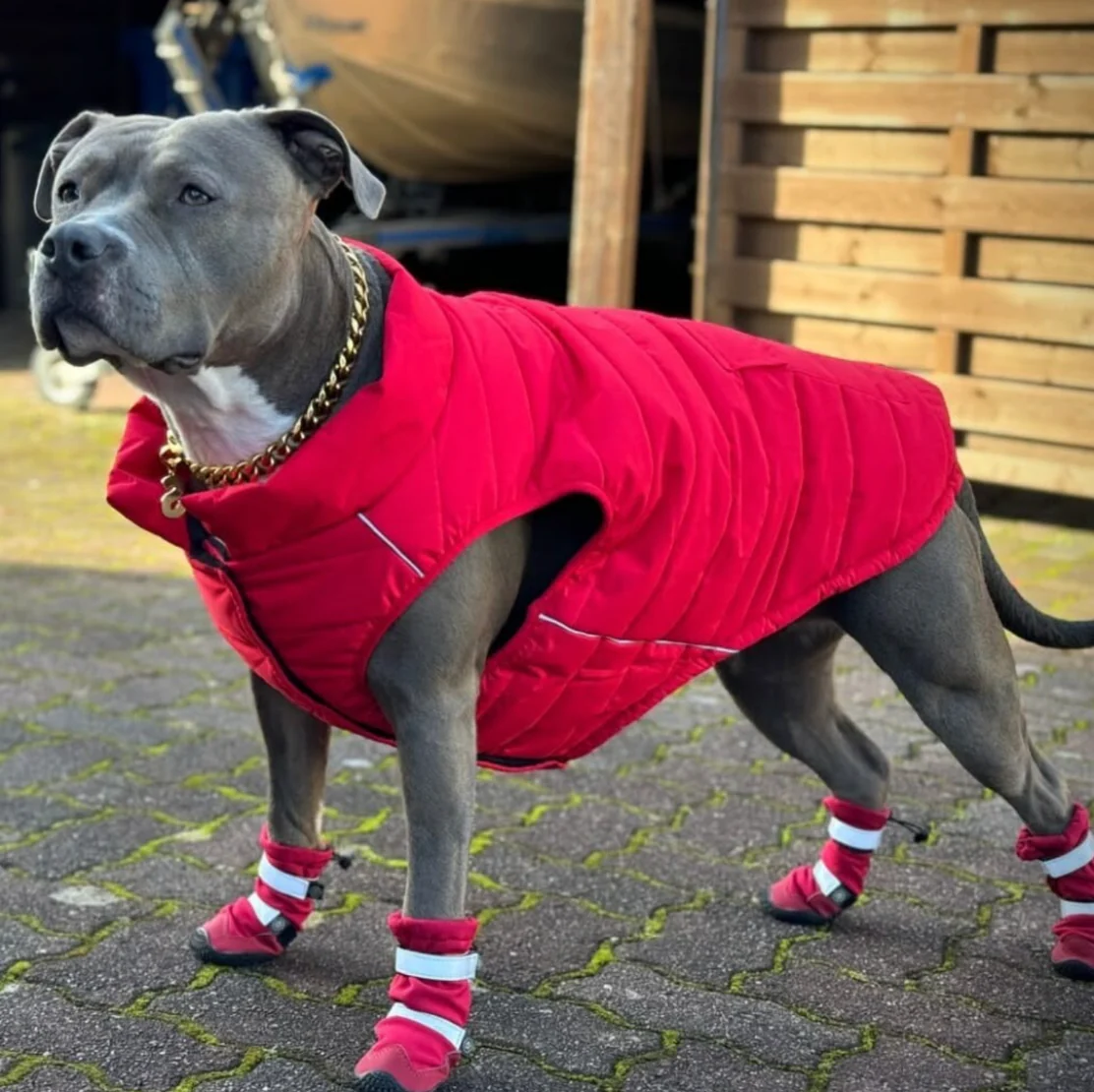 Flex Shell Waterproof Dog Boots - Red - Image 5