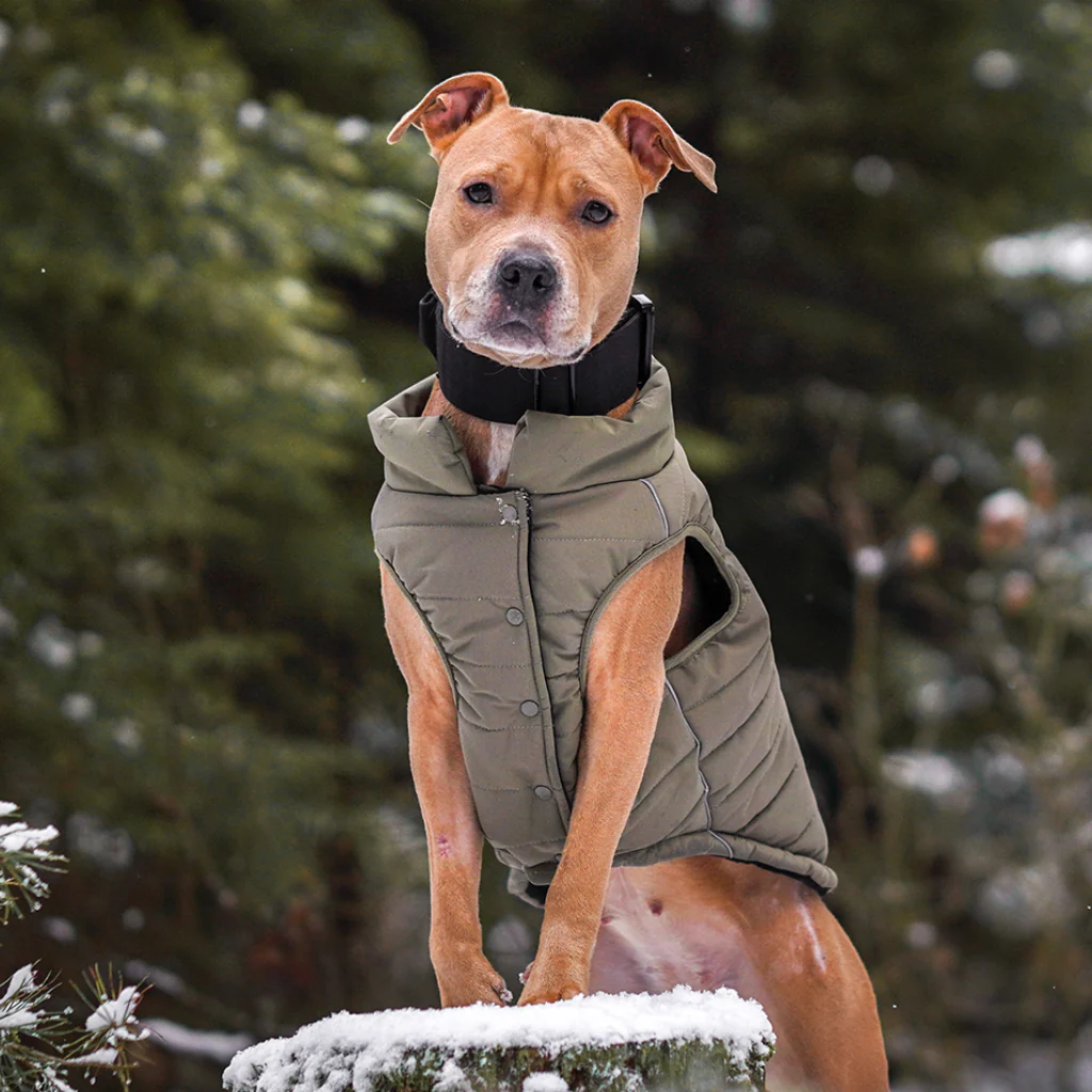 WarmShield Water-Resistant Jackets - Image 15