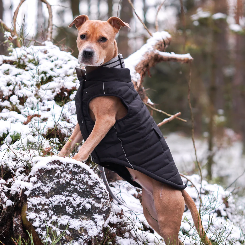 WarmShield Water-Resistant Jackets - Image 52