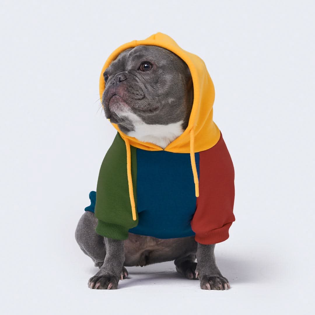 Primary Color Block Dog Hoodie - Image 10